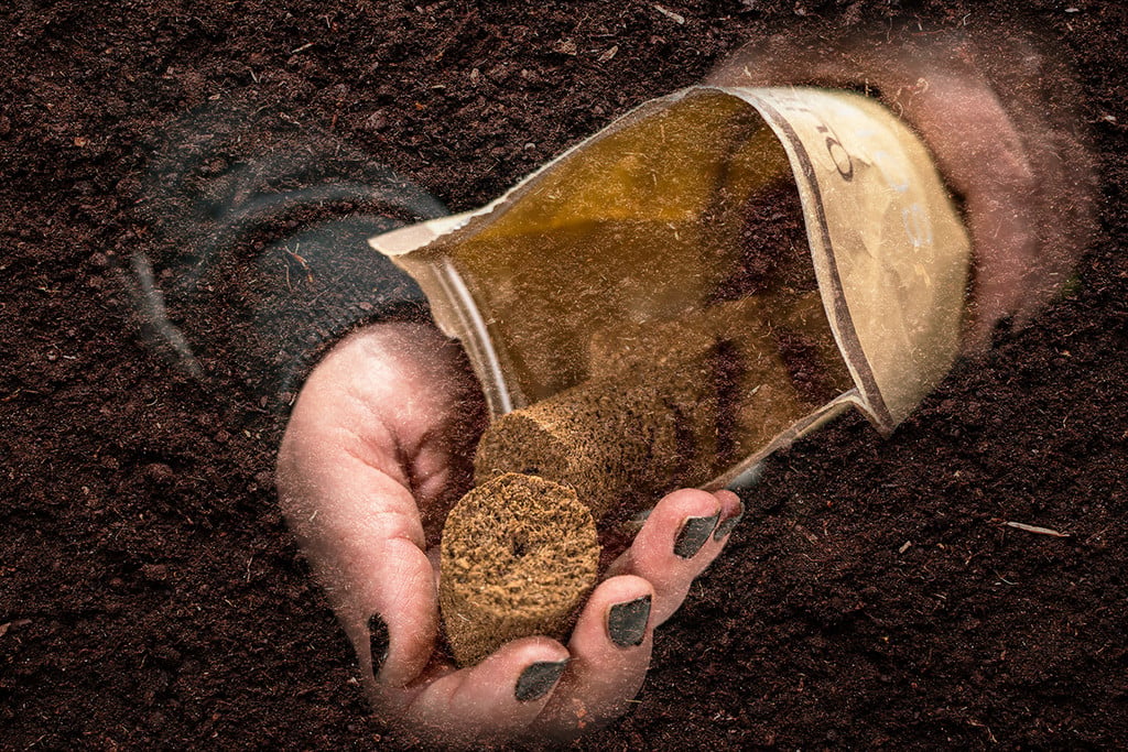 Soil Preparation for Cannabis Seeds