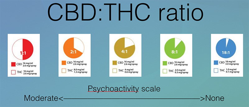 THC and CBD Ratios