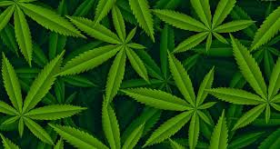 Cannabis for Relaxation and Recovery